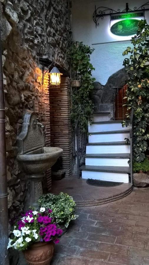 Il Nido Di Apricus Olevano Romano